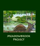 meadowbrook